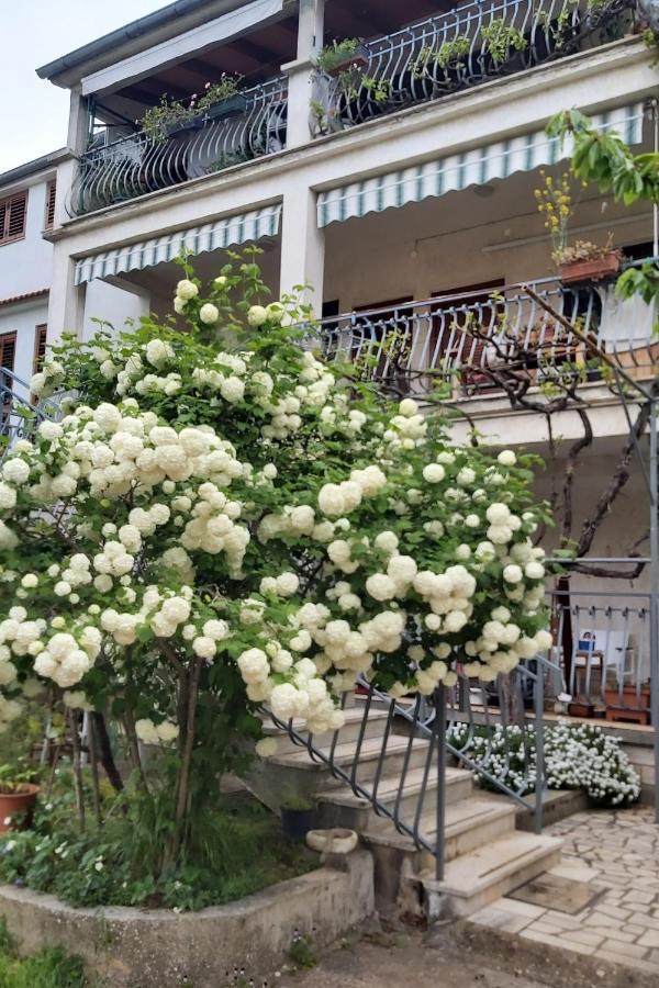 Apartments And Rooms By The Sea Rovinj - 19183 מראה חיצוני תמונה